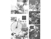 柯尼卡美能達復印機bizhub306的600dpi分辨率的輸出質(zhì)量